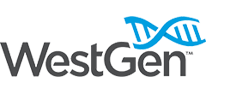 Strategic planning Facilitation WestGen