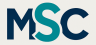 Meridian Strategic Consulting
